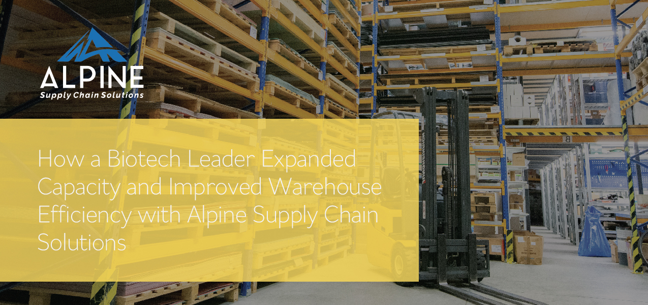 library_thumbs-02 (1)